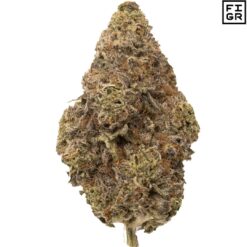 FIGR | Chatty Kathy Flower | 7g