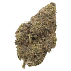 FIGR | Chatty Kathy Flower | 14g