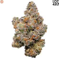 LOT420 | Gelato 33 Craft Flower | 3.5g