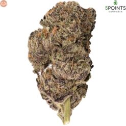 5 Points Cannabis | Blueberry Yum Yum Craft Flower | 3.5g