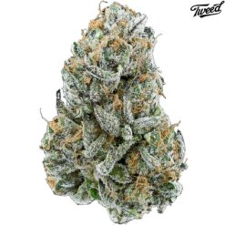 Tweed | Kush Mints Flower | 28g