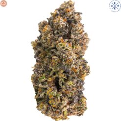 EastCann | Velvet Z  Craft Flower | 1g~