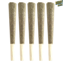 Buddy Blooms | Lil Buddy Sativa Pre-Roll | 5x0.5g~