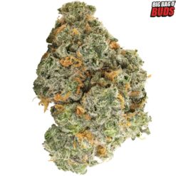 Big Bag O' Buds | Blueberry Dream Flower | 7g