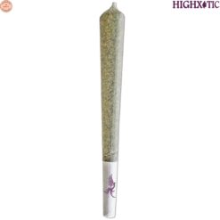 HighXotic | Royal One - Vault Series (Rotating Strain) Pre-Roll | 1x1g