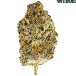 Pure Sunfarms | Gorilla Milk Flower | 28g PROMO