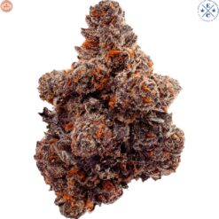 EastCann | Gastro Pop Craft Flower | 3.5g