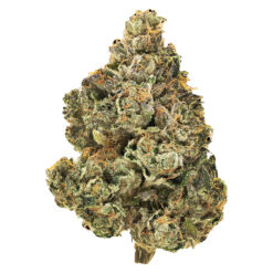 1964 | Stinky Pinky Craft Flower | 1g