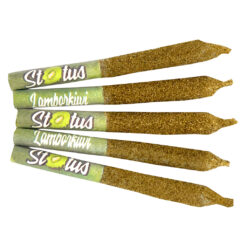 Status | Lamborkiwi Liquid Diamond Kief Coated Infused Pre-Rolls | 5x0.25g