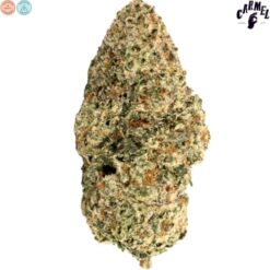 Carmel | Astronaut Status Craft Flower | 3.5g~