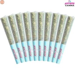 Northern Canna | The Collective Pre-Rolls | 10x0.5g PROMO