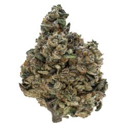 Tribal | Gran Turismo Flower | 3.5g