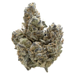 Nugz | Florida Oranges Flower | 7g
