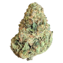 Simply Bare | BC Organic Lime Drizzle Craft Flower | 3.5g