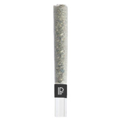 Pistol and Paris | Lindsay OG Bubble Hash Infused Pre-Roll | 1x1.5g