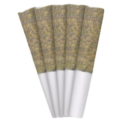 Tribal | Gran Turismo Pre-Rolls | 5x0.5g