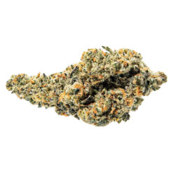 True Fire | Tropical Meltdown Craft Flower | 3.5g
