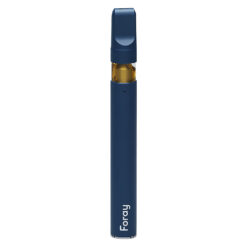 Foray | Tangie Crush Distillate Disposable Pens | 0.3g