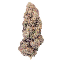 PURPLEFARM | Super Boof Craft Flower | 3.5g