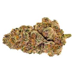 Pure Sunfarms | Purple Fog Flower | 3.5g