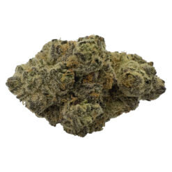 The Florist | Rare Cuts Craft Flower | 7g