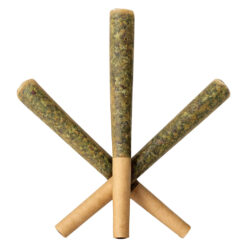 Sauce Rosin Labs | SAUCE Slim-Bitz Live Rosin Infused Pre-Rolls | 3x0.5g