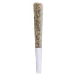 BLAST | Double-Dip Live Rosin Infused Pre-Roll | 1x1g~