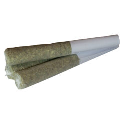 True Fire | Tropical Meltdown Pre-Rolls | 3x0.5g