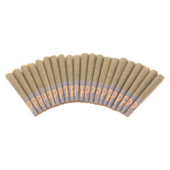 Purple Hills | Gelato 41 Pre-Rolls | 20x0.5g PROMO