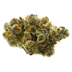 True Fire | 33 Splitter Craft Flower | 3.5g