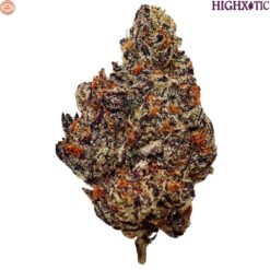 HighXotic | Batch 007 Craft Flower | 7g