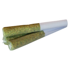 True Fire | Blackout Gas Pre-Rolls | 3x0.5g