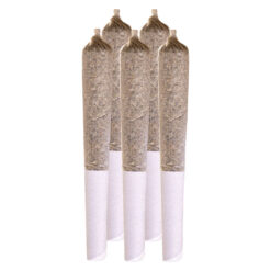 Station House | Blue Dream Pre-Rolls | 10x0.5g *