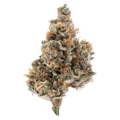 Potluck | Raspberry Runtz Craft Flower | 7g *