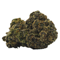 BOLD | Rocket Fuel Craft Flower | 3.5g *
