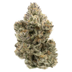 Northern Canna | The Collective Half Q Craft Flower | 3.5g * PROMO