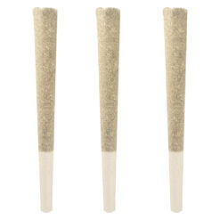 IVORY | Platinum Glow Craft Pre-Rolls | 3x0.5g PROMO ~