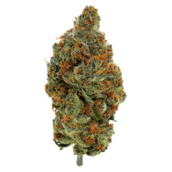 Simply Bare | BC Organic Mandarin Zktz Craft Flower | 28g