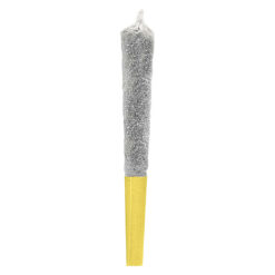 Potluck | Juicy Jungle Fruit Infused Pre-Roll | 1x0.5g *