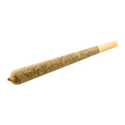 Irie Craft Cannabis | Irie Rolls Pre-Rolls | 10x0.5g * PROMO