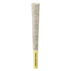 Pistol and Paris | Hawaiian Fanta Pre-Rolls | 10x0.5g * PROMO
