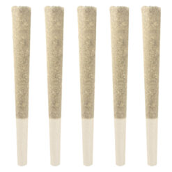 Dom Jackson | Gas Pack Pre-Rolls | 5x0.5g *