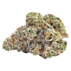 BLK MKT | Blue Pave Craft Flower | 14g *