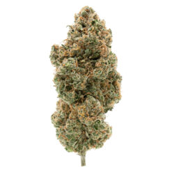 Simply Bare | BC Organic Tangerine Sunrise Craft Flower | 3.5g *