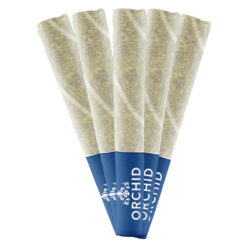 Orchid CBD | Jean Guy CBD Pre-Rolls | 5x0.5g *