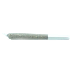Truro | Truffle Treats Pre-Roll | 1x0.5g *