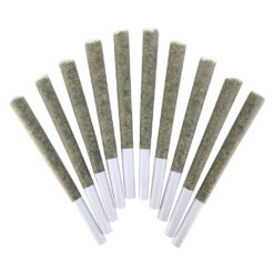 BC Doobies | VelcroZ Pre-Rolls | 10x0.5g *