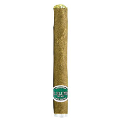 El Blunto | Daytona Diesel Hash Infused Pre-Roll | 1x2g *