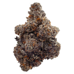 EastCann | Gastro Pop Craft Flower | 1g *