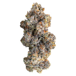 BLK MKT | Tractor Fuel Craft Flower | 7g *